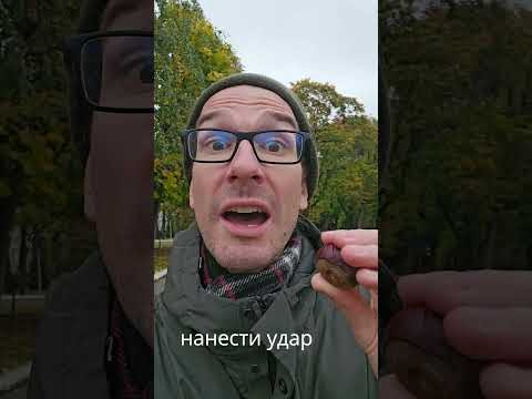 photo photo