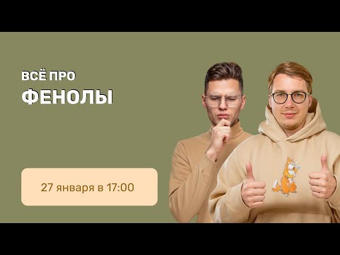 ВСЕ про фенолы | Органика с НУЛЯ | Степенин и Дацук