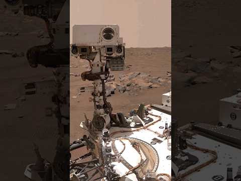 На Марсі все ж знайшли життя | They did find life on Mars