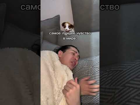 И не смог заснуть