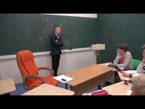 33. Кровеносная система моллюсков