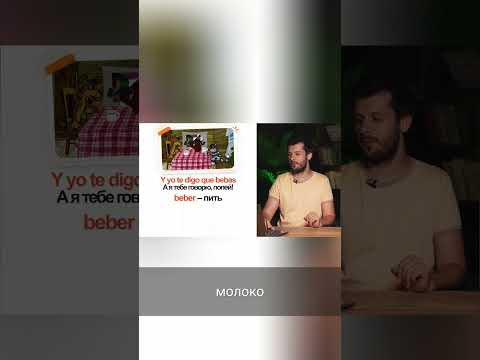 Испанский язык: как Матроскин учит грамматике и вину #shorts