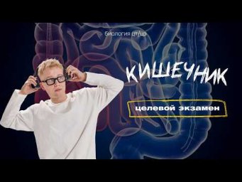 ТОНКИЙ И ТОЛСТЫЙ КИШЕЧНИК | Целевой экзамен