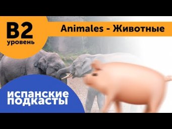 Подкасты на испанском языке ДЛЯ ПРОДОЛЖАЮЩИХ: Animales - Животные