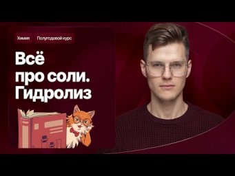 5. Все про соли. Гидролиз | Полугодовой курс | Степенин и Дацук