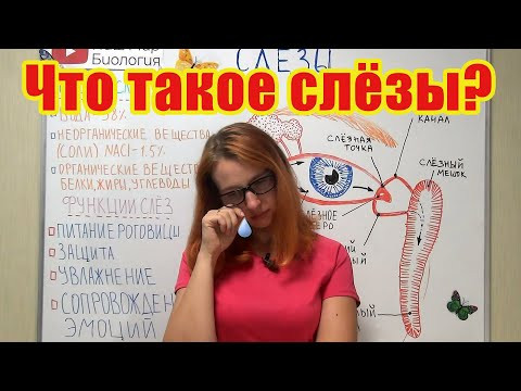 Что такое слёзы?