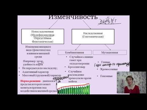 Изменчивость. Разбор теории. Подготовка к ЕГЭ Изменчивость Изменчивость. Разбор теории. Подготовка к ЕГЭ Изменчивость