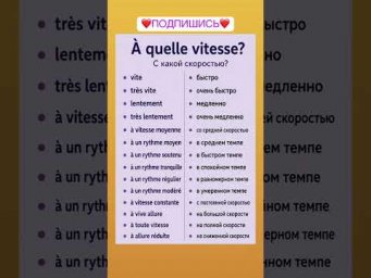 С какой скоростью #французский #учитьфранцузский #французскийпополочкам #французскийязык #урокифранц
