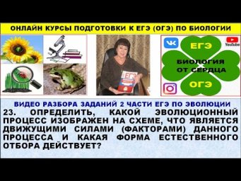 ЗАДАНИЕ ИЗ ЕГЭ ПРО ДИВЕРГЕНЦИЮ