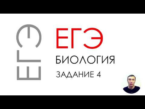 ЕГЭ биология 2020 Задание 4 Рохлов
