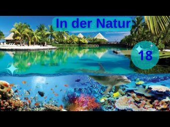 18 ВИДЕОУРОК. IN DER NATUR - НА ПРИРОДЕ.  SPRECHEN B1 #ирина_цырульникова #немецкий_язык #немецкий