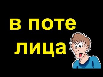 № 664 Русские фразеологизмы: В ПОТЕ ЛИЦА