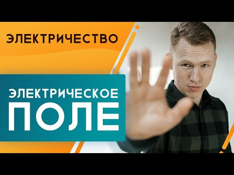 Электрическое поле | ЕГЭ Физика | Николай Ньютон Электрическое поле | ЕГЭ Физика | Николай Ньютон