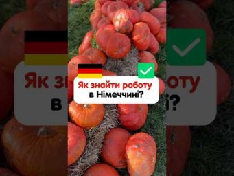 Як знайти роботу в Німеччині 