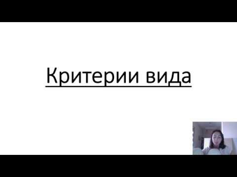 Что такое вид? Критерии вида (теория+задания)