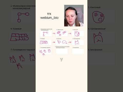 цените котиков!