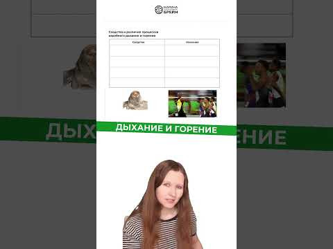 тгк: Марина Брейн #егэ2027 #егэбиология