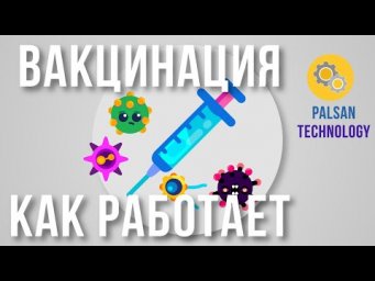 Вакцинация : Как Работает Вакцина?
