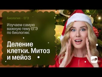 Изучаем самую важную тему ЕГЭ по биологии: деление клетки. Митоз и мейоз | СОТКА 2026