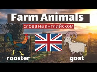 Слова на английском для начинающих