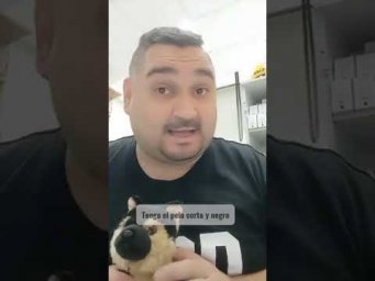 Если тоже хотите научиться говорить на испанском, тогда приходите на наш марафон бесплатно 