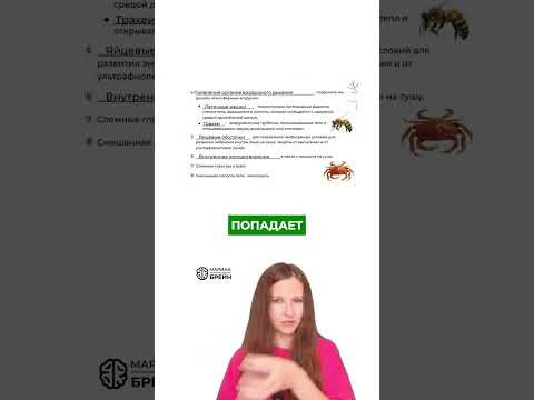 КАК ДЫШАТ НАСЕКОМЫЕ #биологияегэ #биология #зоология