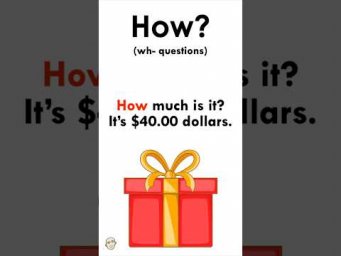 Wh - questions  #MarkKulekESL #LearnEnglish