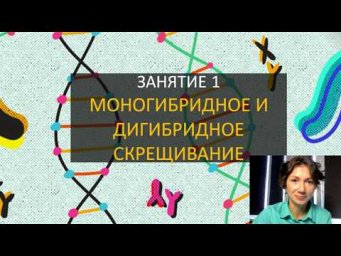 Занятие 1 | Моногибридное и дигибридное скрещивание