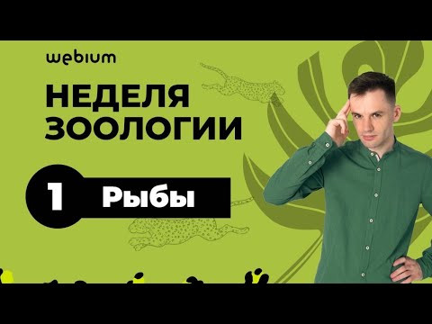 День 1. Рыбы. Биологический сериал | ЕГЭ Биология 2020 | Даниил Дарвин