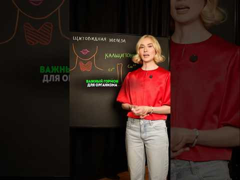 мой тг: bio100ege,давай готовиться к ЕГЭ вместе 