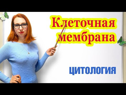 Клеточная мембрана, строение и функции.
