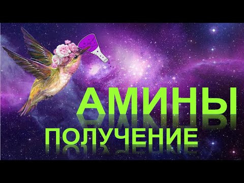56. Амины (часть 2)