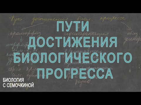 Пути достижения биологического прогресса