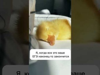 Полный курс подготовки к ЕГЭ по биологии в ссылках канала