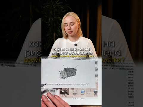 решаем задание из ЕГЭ по биологии 
