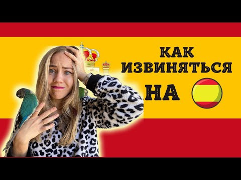11 фраз, как правильно извиняться. Полезные фразы на испанском языке.