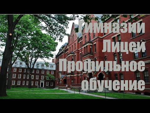 Лицеи и гимназии. Как правильно выбрать профиль, и вообще, стоит ли туда поступать? Лицеи и гимназии. Как правильно выбрать профиль, и вообще, стоит ли туда поступать?