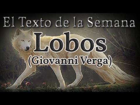 El Texto de la Semana: "Lobos" El Texto de la Semana: "Lobos"