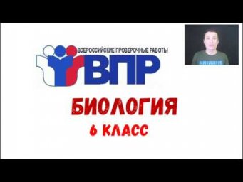 ВПР 2019 биология 6 класс