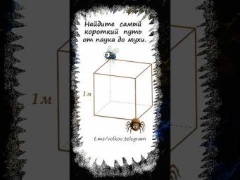 Как Паук нашёл короткую дорожку к Мухе