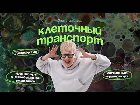 КЛЕТОЧНЫЙ ТРАНСПОРТ ЗА 15 МИНУТ | ЦТ, ЦЭ КЛЕТОЧНЫЙ ТРАНСПОРТ ЗА 15 МИНУТ | ЦТ, ЦЭ