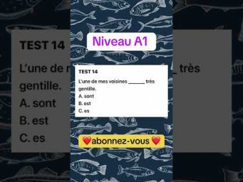 Test 14Niveau A1 #французскийпополочкам #урокифранцузького #французский #учитьфранцузский #репетитор