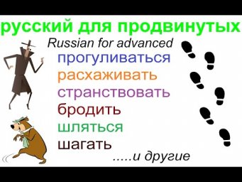 № 564 Расхаживать, бродить, прогуливаться.....и др.