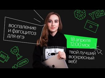 Воспаление и фагоцитоз для ЕГЭ | ЕГЭ БИОЛОГИЯ 2021 | Онлайн-школа СОТКА