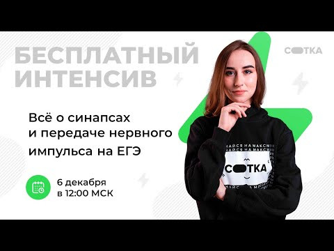 Всё о синапсах и передаче нервного импульса на ЕГЭ | ЕГЭ БИОЛОГИЯ 2021 | Онлайн-школа СОТКА