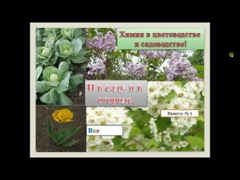 1.  И в саду, и в огороде.  Введение.