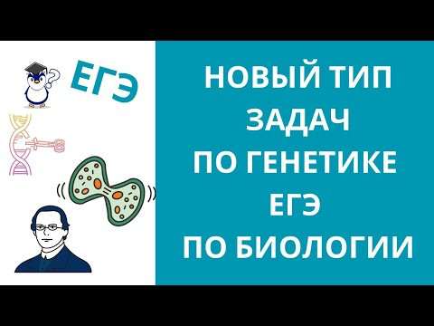 Новый тип задач по генетике! ЕГЭ по биологии 2024! Новый тип задач по генетике! ЕГЭ по биологии 2024!