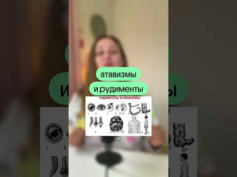 Самые завальные темы по эволюции! Самые завальные темы по эволюции!