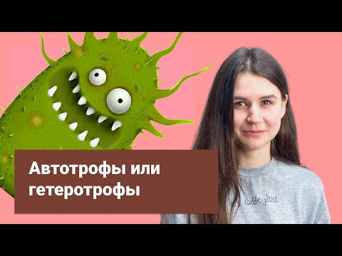 Бактерии: автотрофы и гетеротрофы