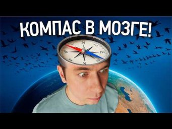 Как увидеть магнитное поле Земли?